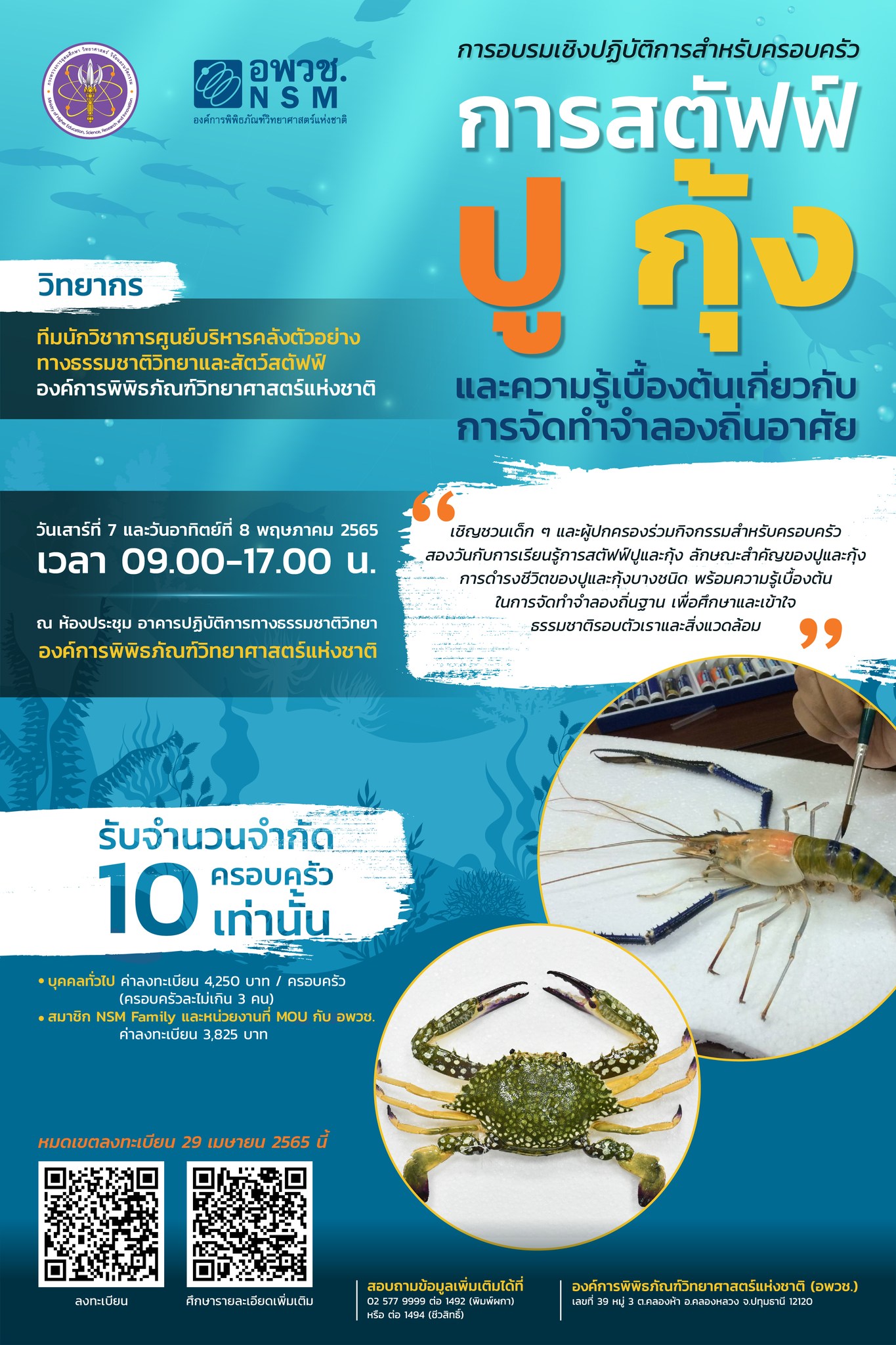 การสตัฟฟ์ปู กุ้ง และความรู้เบื้องต้นเกี่ยวกับการจัดทำจำลองถิ่นอาศัย | Workshop