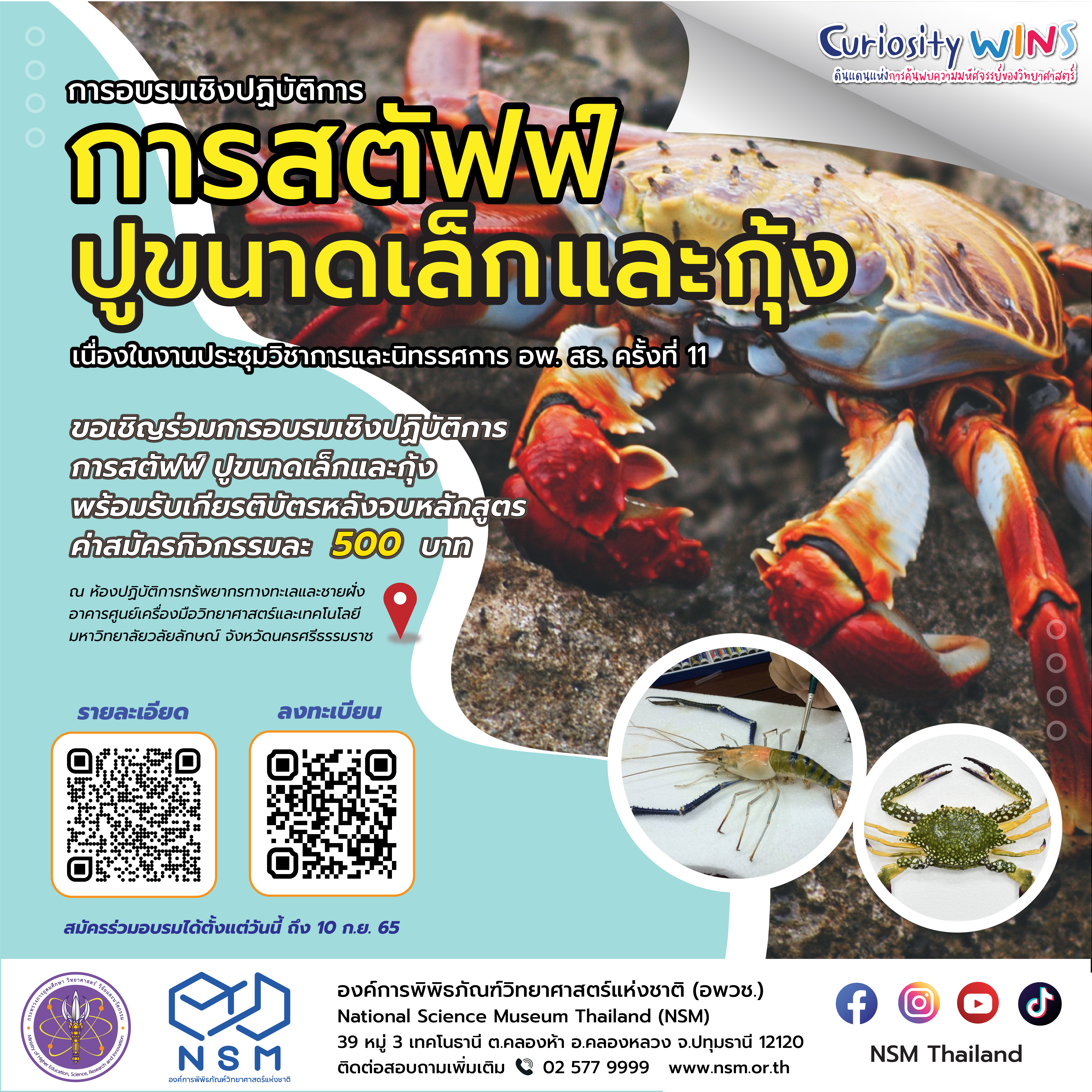 การสตัฟฟ์ปูขนาดเล็กและกุ้ง | การอบรมเชิงปฏิบัติการ