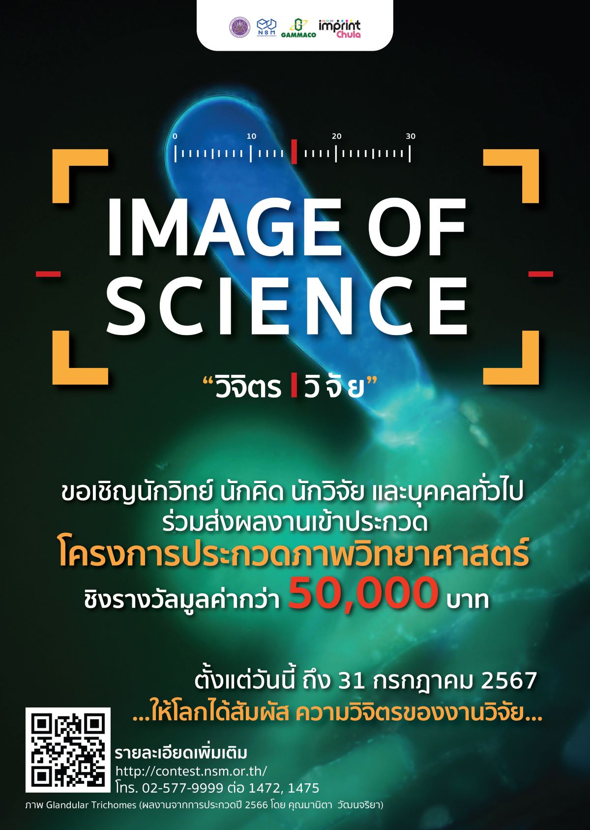 แบนเนอร์ วิจิตร วิจัย 2567