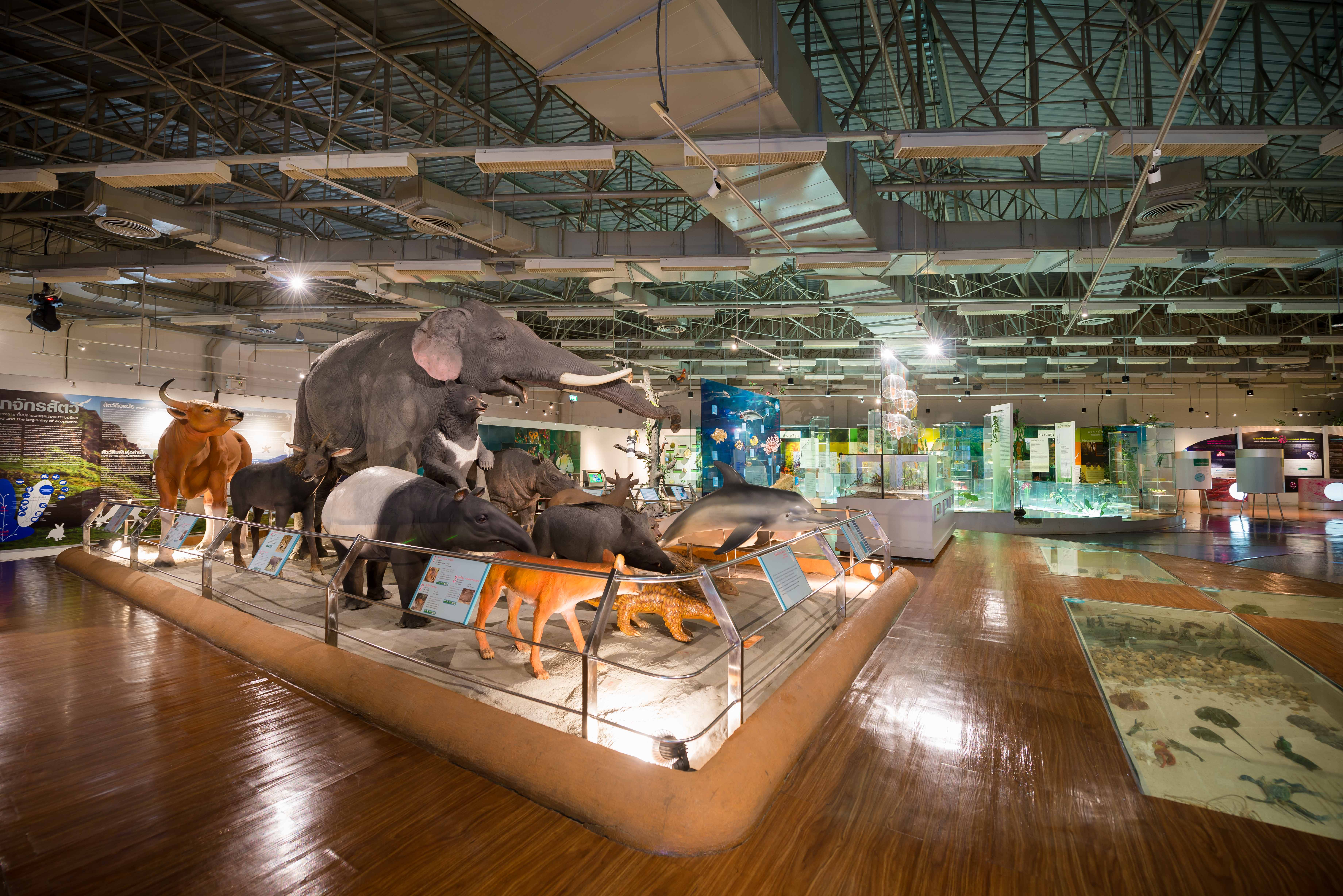 NHM0046