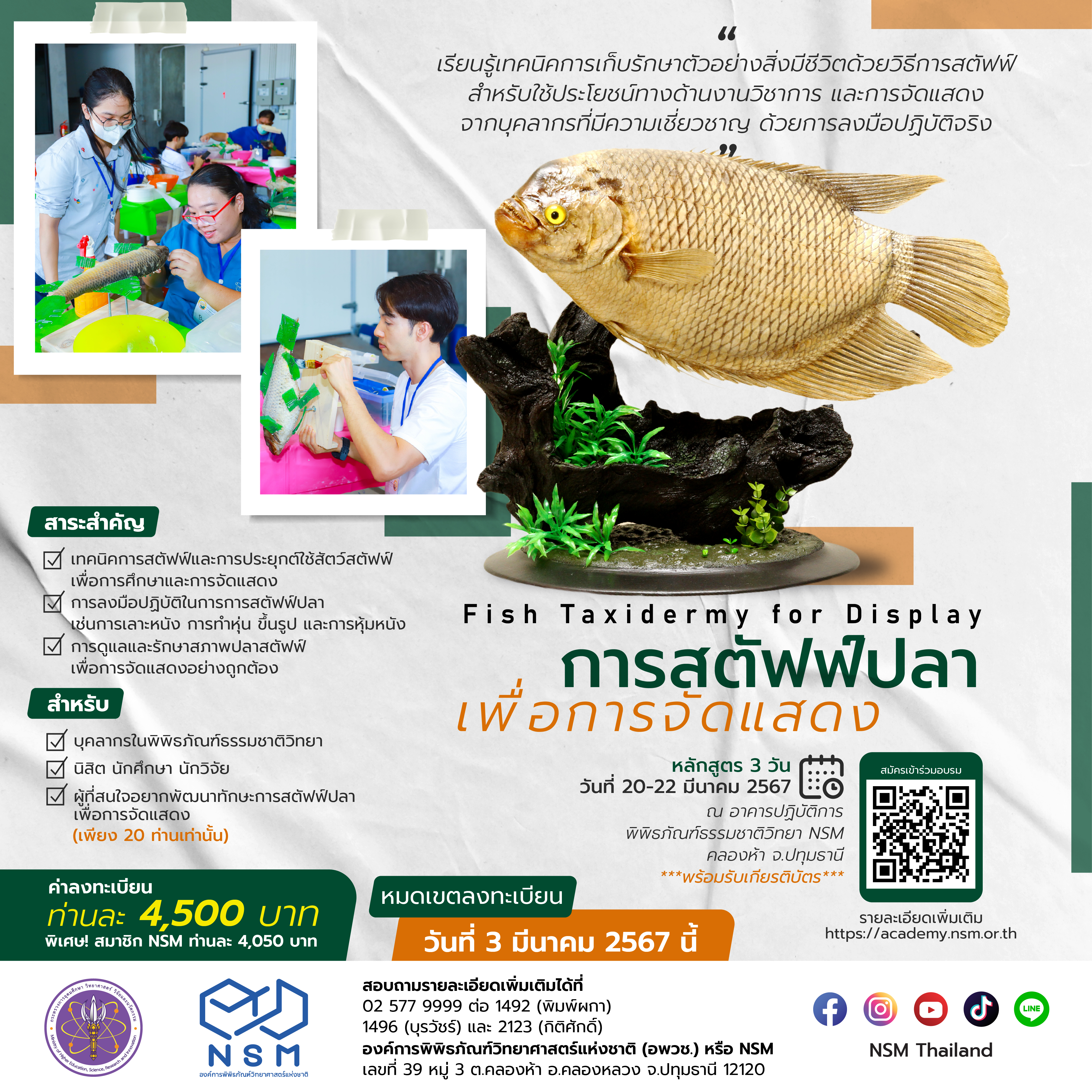 การสตัฟฟ์ปลาเพื่อการจัดแสดง