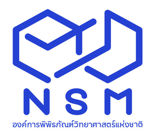 New NSM logo