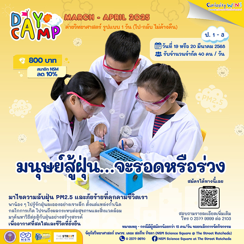 ฝุ่น