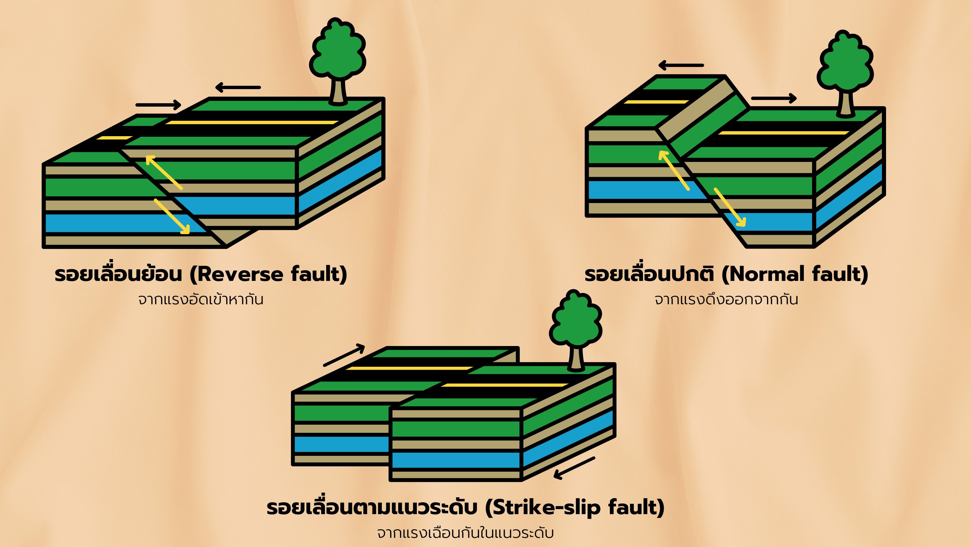 ชนิดของรอยเลื่อน