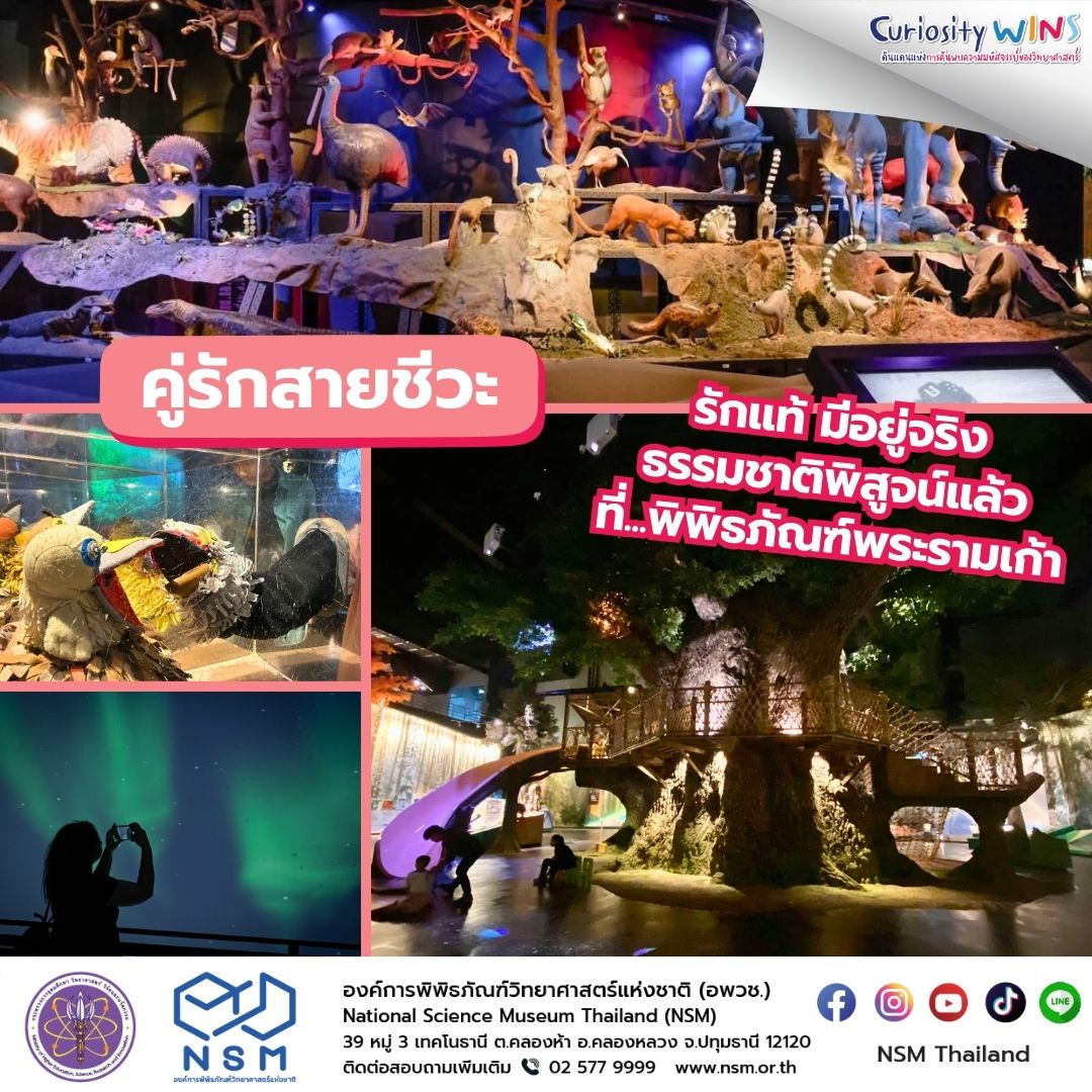 วาเลนไทน์1