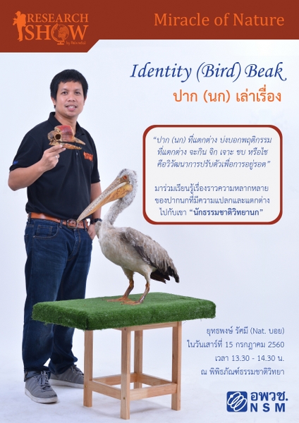 ข่าวสาร