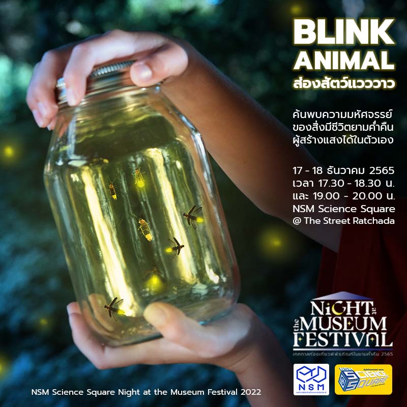 NSM Science Square Night at the Museum Festival 2022 4