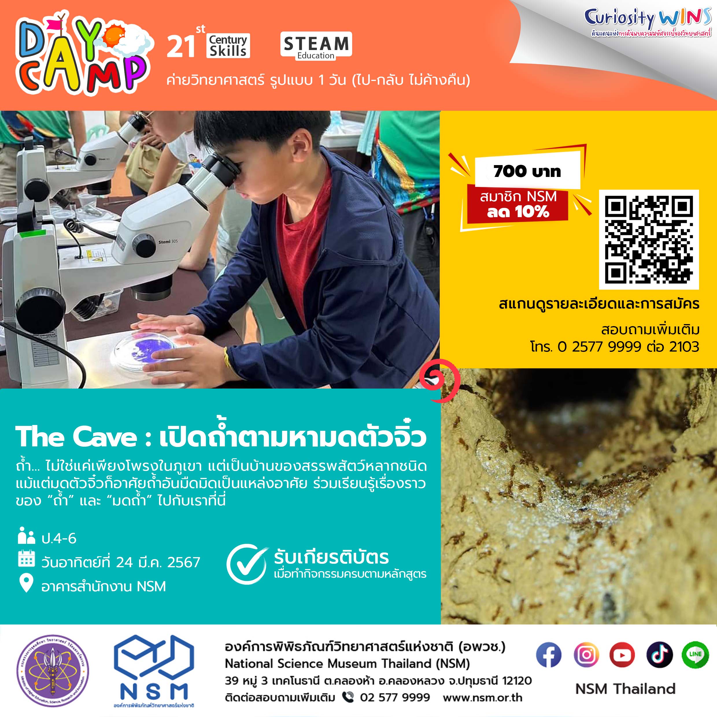 ค่าย The Cave : เปิดถ้ำตามหามดตัวจิ๋ว