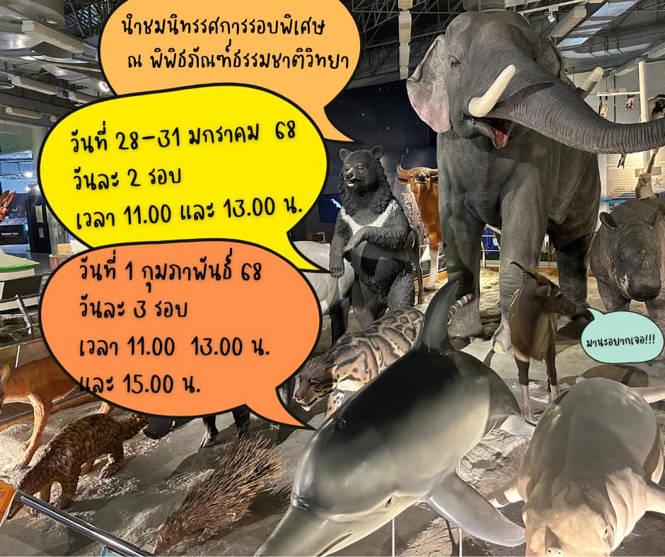 NHM0049