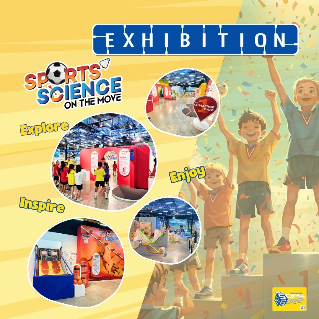 นิทรรศการ