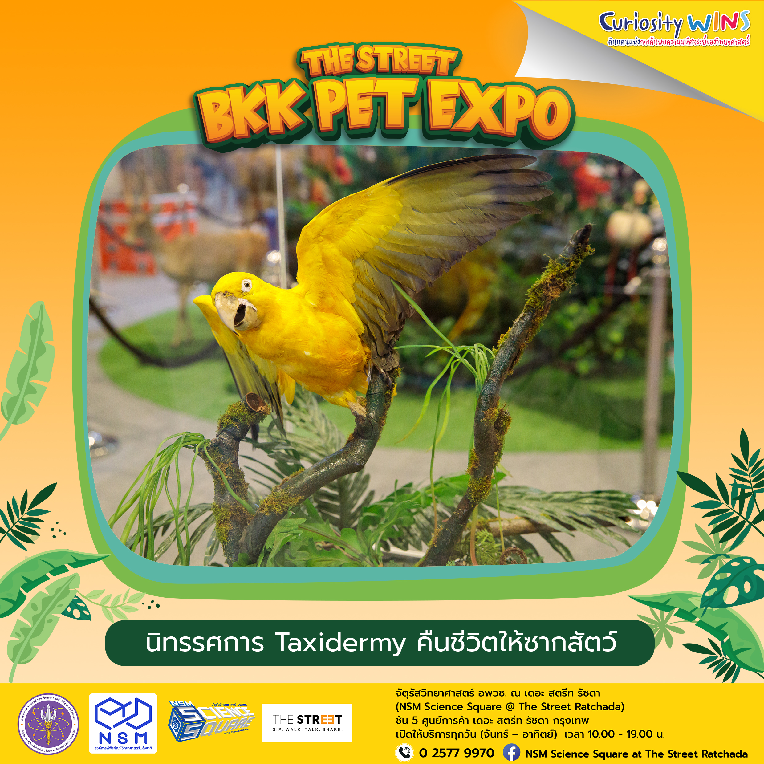 นิทรรศการ Taxidermy คืนชีวิตให้ซากสัตว์