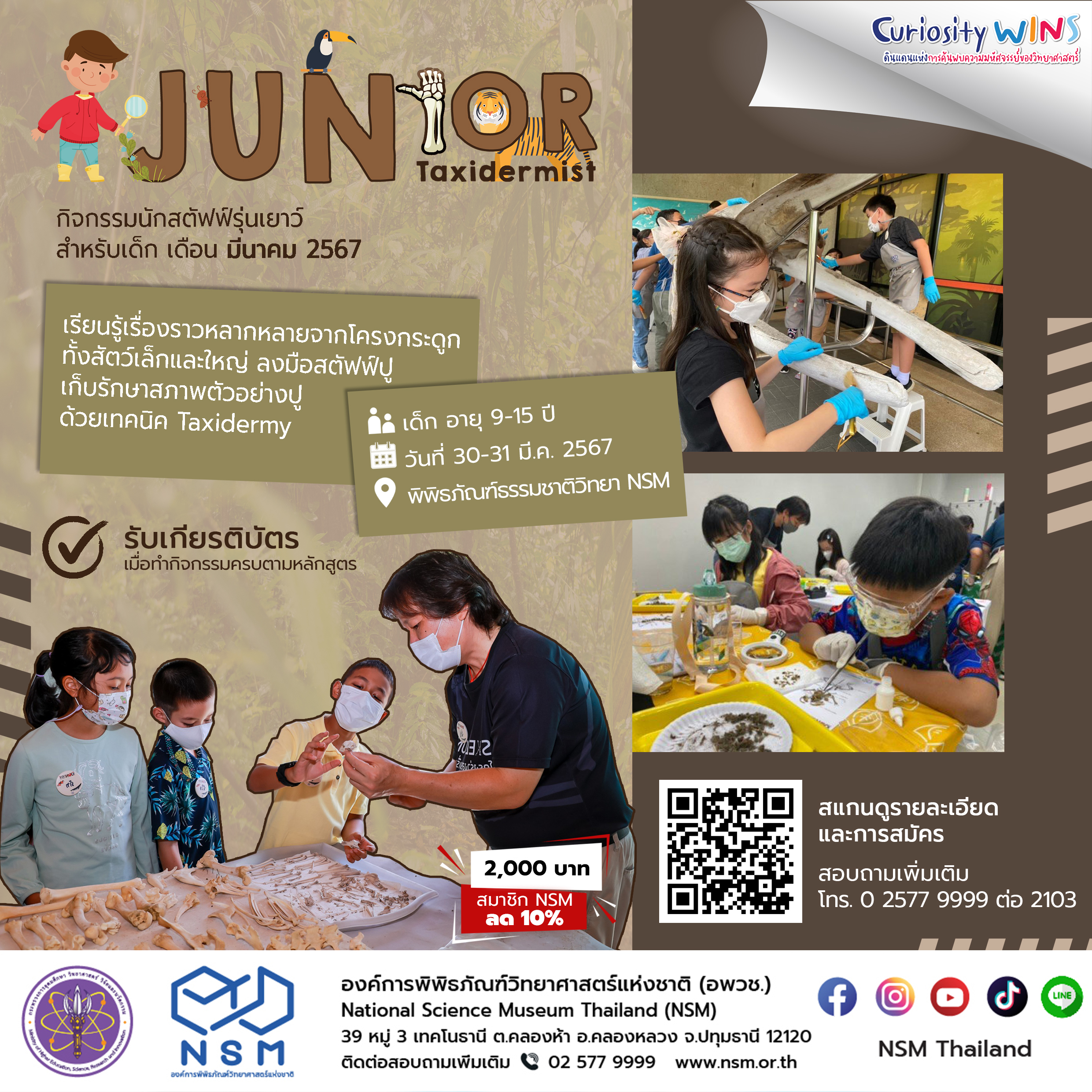 Junior Taxidermist เดือน มี.ค. 2567
