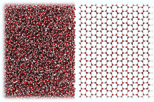 ที่มาภาพ : Rosu-Finsen et al., doi: 10.1126/science.abq2105