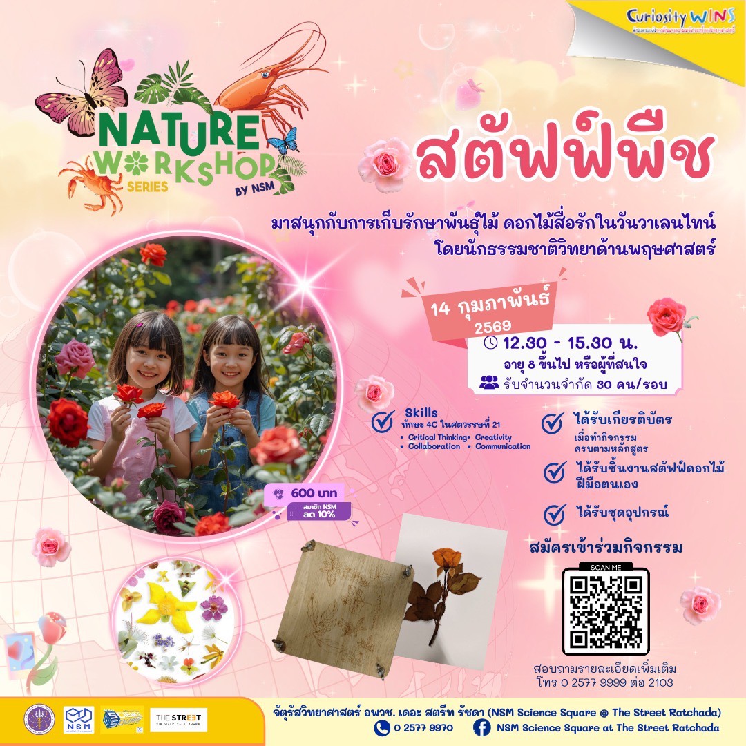 สตัฟฟ์พืช